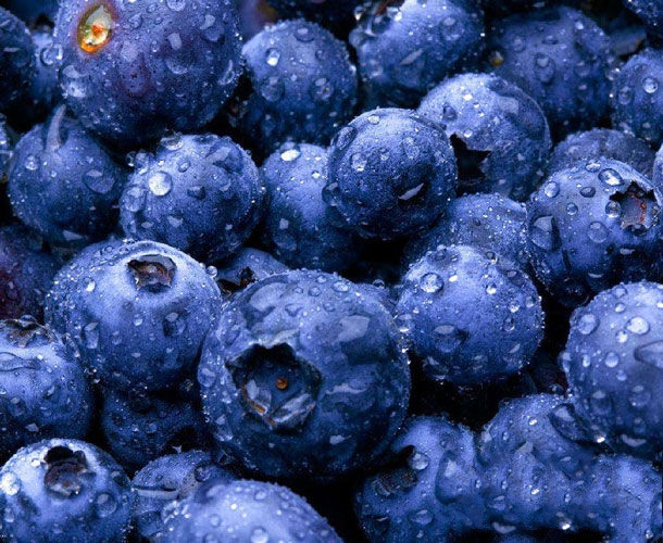 安图特产-安图蓝莓相关图片