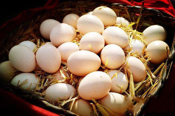 拉萨市特产-藏鸡蛋相关图片